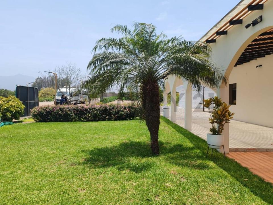 PROYECTO LOS NARANJOS - NUEVA ESPERANZA BAJA , Huaral, Lima 00001, Peru