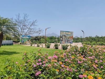 PROYECTO LOS NARANJOS - NUEVA ESPERANZA BAJA , Huaral, Lima 00001, Peru