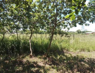 Distrito Pilar Lugar denominado Yataity 14, Pilar, Ñeembucú 00001, Paraguay