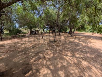 ruta san andres , Loma Plata, Boquerón 00001, Paraguay