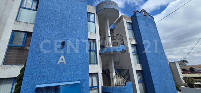 HORTENSIA ,, Tlalpan, Ciudad De México 14250, México