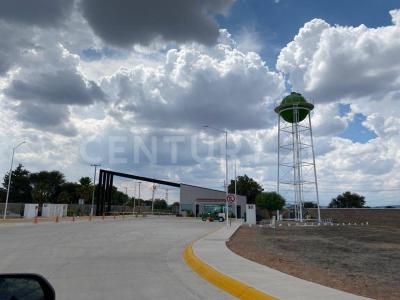 Colon, 克雷塔罗 76296, 墨西哥