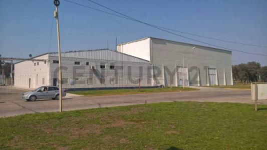 Pergamino, Buenos Aires (fuera De GBA) 2700, Argentina