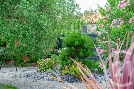 Saujon, Poitou-Charentes 17600, França