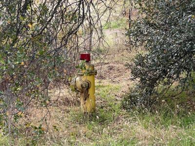 1 Hangtree Court, Oakhurst, Kalifornia 93644, USA