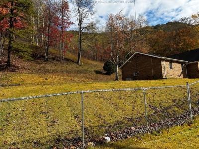 133 Celestial Way, Whitman, Virgínia Ocidental 25601, Estados Unidos