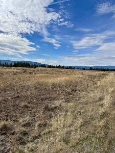 LOT 89 RIM DRIVE, CHILOQUIN, Oregon 97624, Estados Unidos