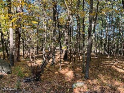 Lot #33 Primrose Lane, Dingmans Ferry, Pennsylvanie 18328, États-Unis