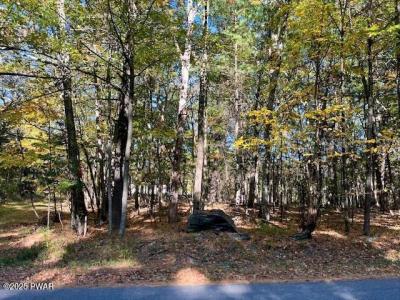 Lot #33 Primrose Lane, Dingmans Ferry, Pennsylvanie 18328, États-Unis