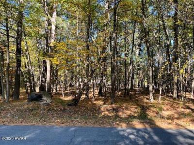 Lot #33 Primrose Lane, Dingmans Ferry, Pennsylvanie 18328, États-Unis