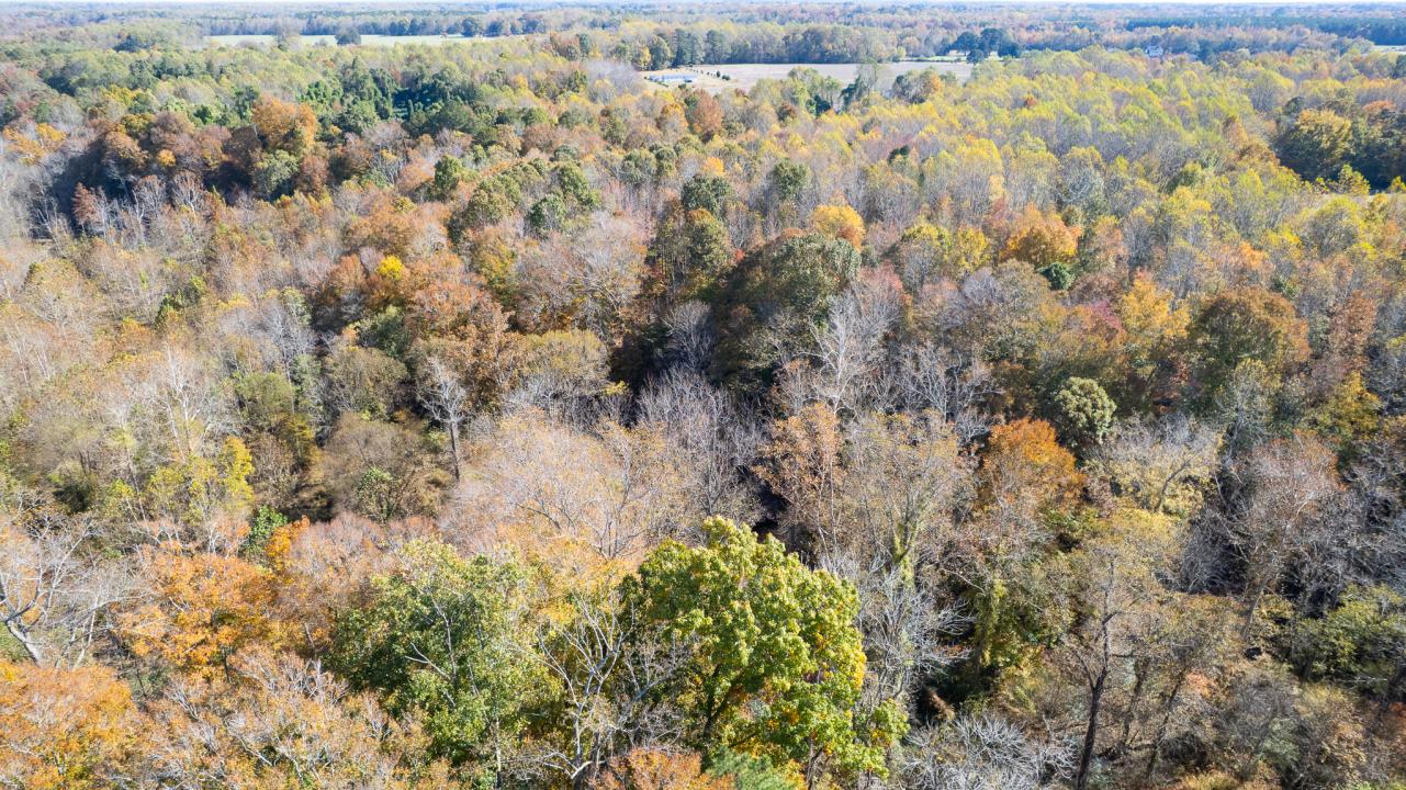 580 Alliance Rd, Surry, 弗吉尼亚州 23883, 美国