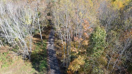 580 Alliance Rd, Surry, 弗吉尼亚州 23883, 美国