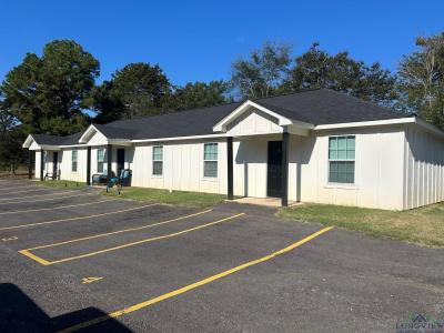 1101 E Price Lane, Overton, Texas 75684, Estados Unidos