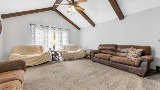 4 Shady Oak Lane, Waterloo, 伊利诺斯州 62298, 美国