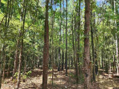 TBD CR 4114 22.22 Acres, Hughes Springs, Texas 75656, Estados Unidos