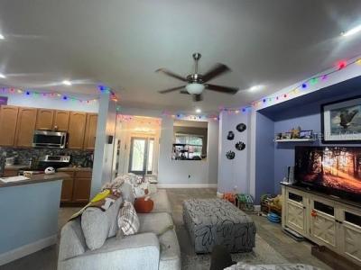 1115 LUMSDEN TRACE CIRCLE, VALRICO, Флорида 33594, Соединенные Штаты