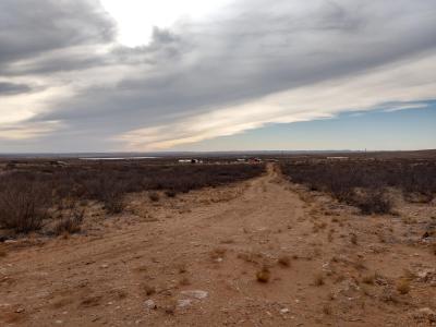 Lot 6 Illinois Camp Road, Carlsbad, 新墨西哥州 88220, 美国