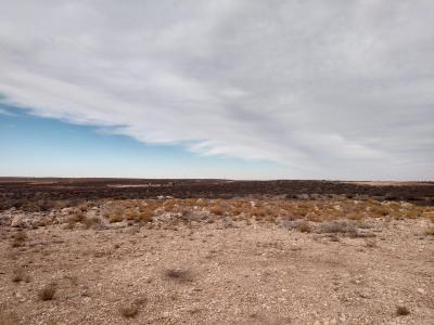 Lot 6 Illinois Camp Road, Carlsbad, 新墨西哥州 88220, 美国