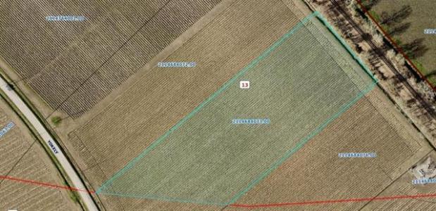 1071 Yokely, Franklin, Louisiana 70538, Amerika Birleşik Devletleri