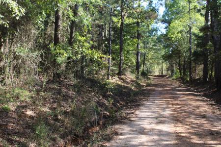 TBD CR 1508 - 37.4 acres, Jacksonville, Texas 75766