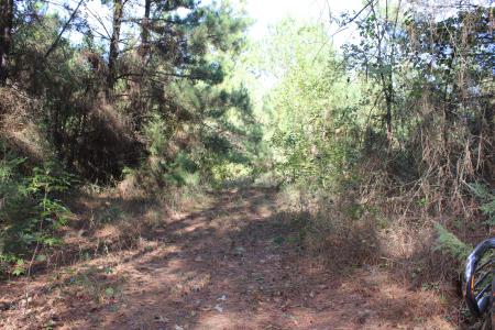 TBD CR 1508 - 37.4 acres, Jacksonville, Texas 75766