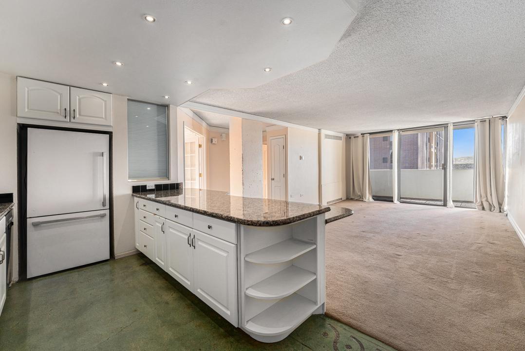 1020 15th Street #21-L, Denver, Colorado 80202