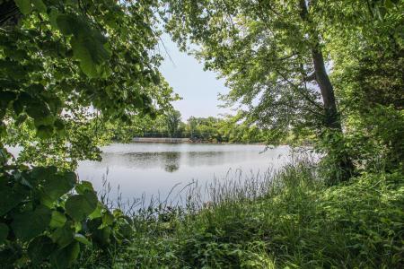 303 Spring Street, Constantine, Michigan 49042, Estados Unidos