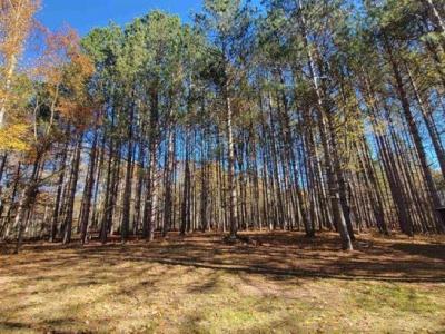 3385 Jones, Beaverton, Michigan 48612, USA