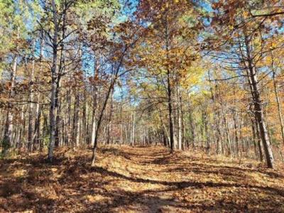 3385 Jones, Beaverton, Michigan 48612, USA