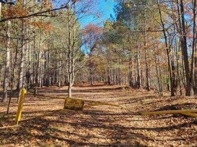 3385 Jones, Beaverton, Michigan 48612, USA