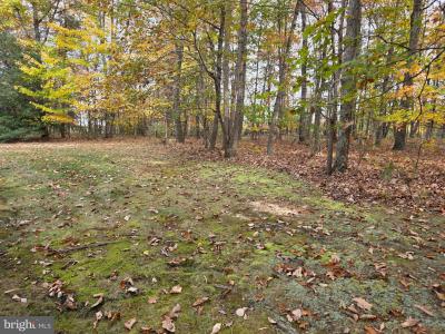 31380 Paynes Farm, Locust Grove, Virginia 22508