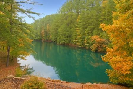 86 Back Trail, Cleveland, Georgia 30528, HOA KỲ