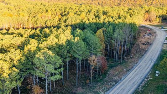 0 Split Rail Way, Guild, טנסי 37340, ארצות הברית של אמריקה