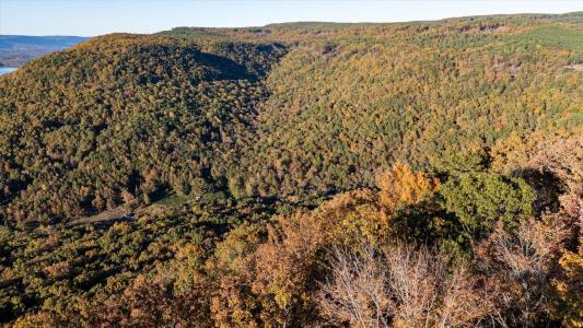 0 Buck Crossing Drive, Guild, 田納西州 37340, 美國