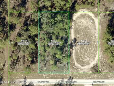 Lot 16 Calypso Avenue, Weeki Wachee, 佛罗里达州 34614, 美国