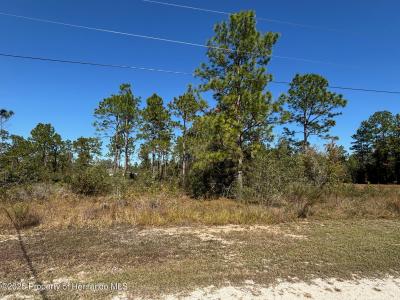 Lot 16 Calypso Avenue, Weeki Wachee, 佛罗里达州 34614, 美国