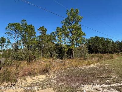 Lot 16 Calypso Avenue, Weeki Wachee, 佛罗里达州 34614, 美国