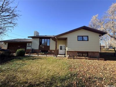 4419 CENTRE STREET, Cadillac, 萨斯喀彻温省 S0N 0K0, 加拿大