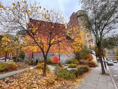 3465  Ch. de la Côte-des-Neiges, Montréal (Ville-Marie), Quebec H3H 1T7, Kanada