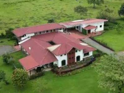 Muelle , Palmera San Carlos, Alajuela 21007, Costa Rica