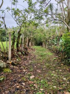 Turrialba Turrialba, Cartago 30501, Costa Rica