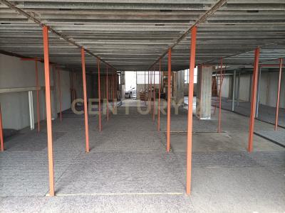 Viagrande, Sicilia 95029, איטליה