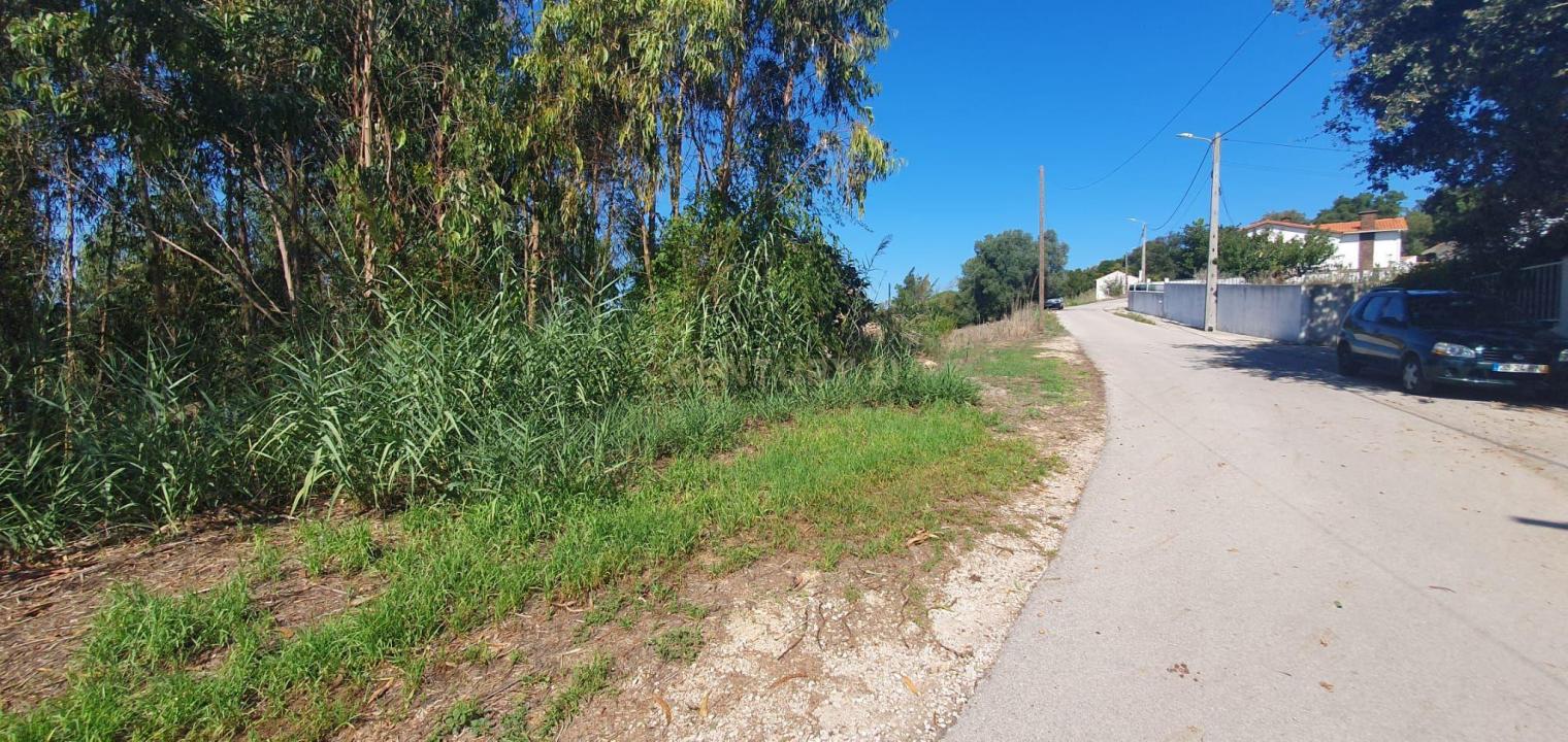 Alcobaça, Leiria 2460-522, Portugal