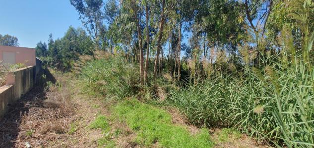 Alcobaça, Leiria 2460-522, Portugal
