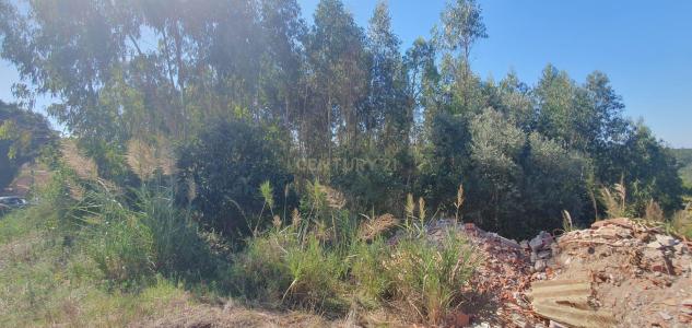 Alcobaça, Leiria 2460-522, Portugal