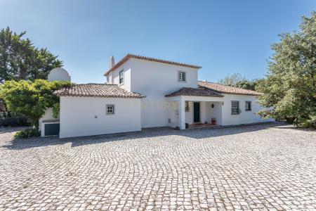 Sintra, Lisboa 2710-413, Portugal