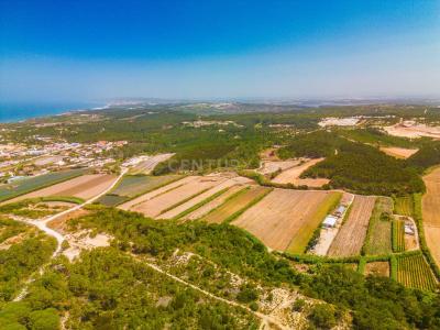 Óbidos, 르이리아 2510-453, 포르투갈