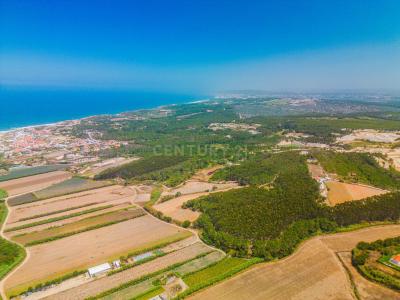Óbidos, 르이리아 2510-453, 포르투갈