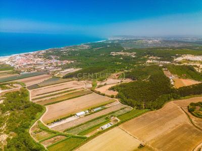 Óbidos, 르이리아 2510-453, 포르투갈
