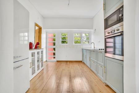 Vila De Rei, Castelo Branco 6110-051, Portugal